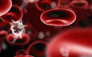 Основные причины повышения содержания тиреоглобулин в крови